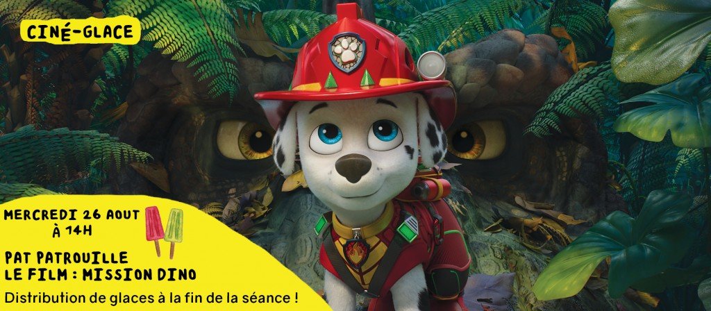 actualité pat patrouille